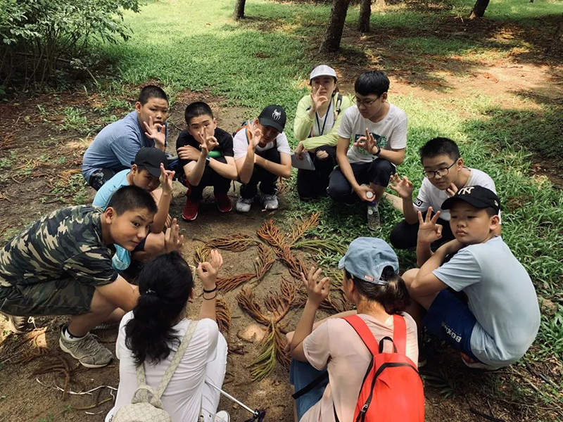 1564210113934951.jpg 13.jpg