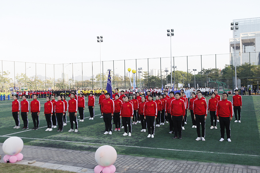 1574731939113961.jpg 2.jpg