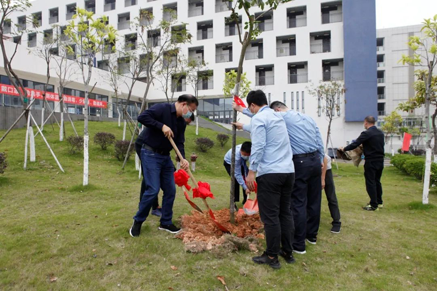 1589010970301652.jpg 2.jpg