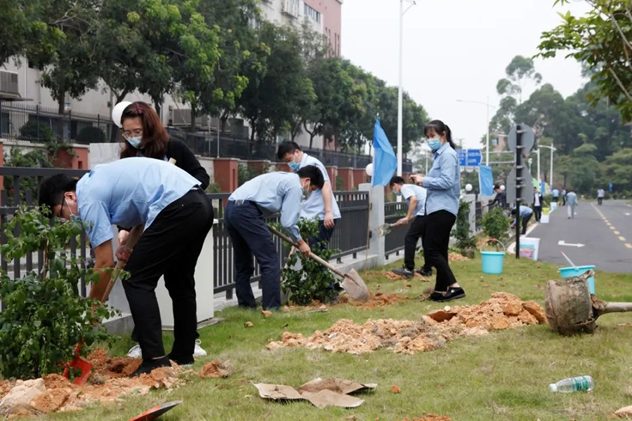 1589011009342145.jpg 3.jpg