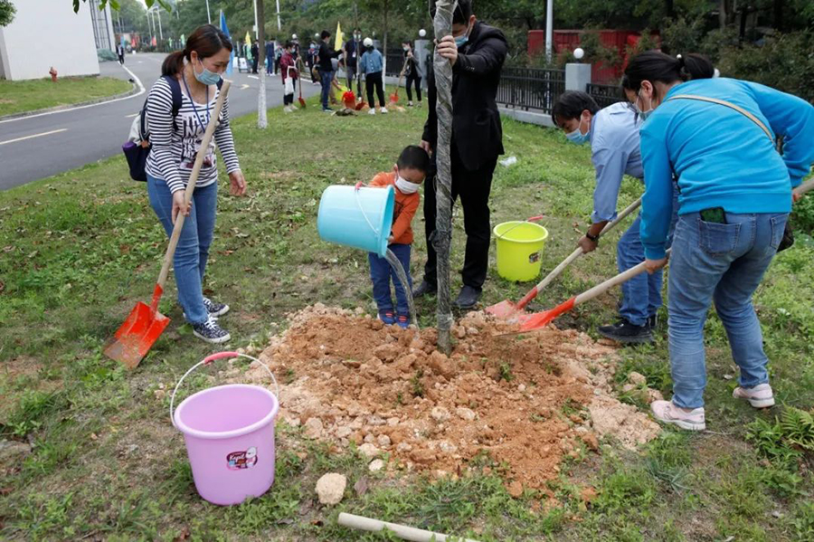 1589011066875051.jpg 5.jpg