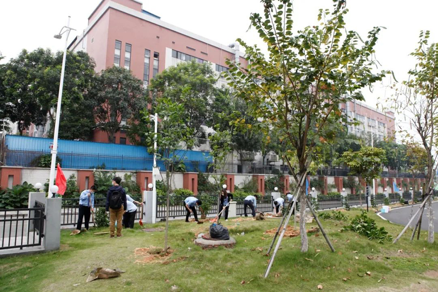 1589011083692940.jpg 6.jpg