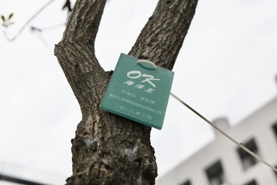 1589011102983061.jpg 7.jpg