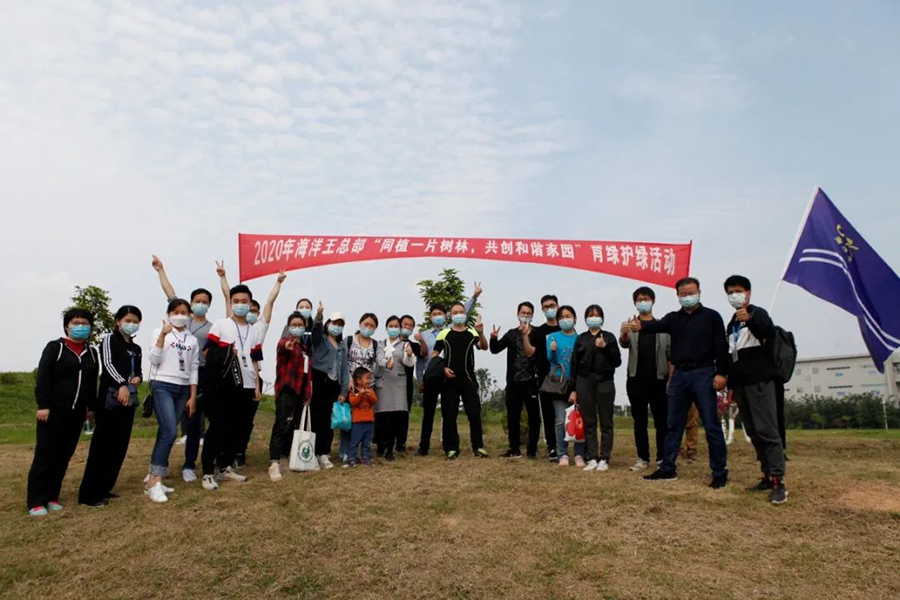 1589011140747332.jpg 10.jpg