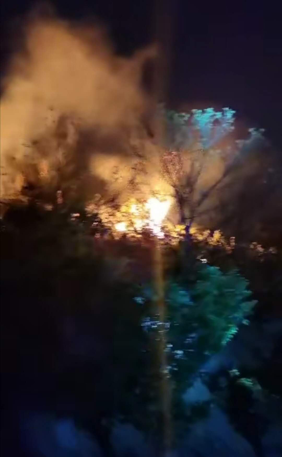 1589014363646251.jpg 9.jpg