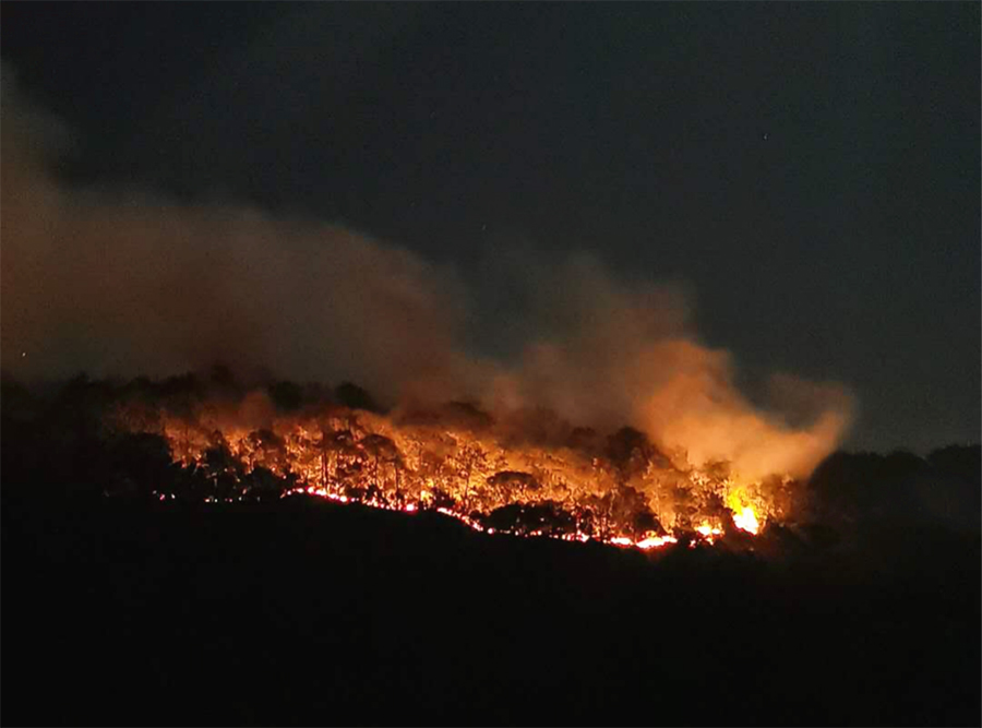 1589854770111133.jpg 900-1.jpg