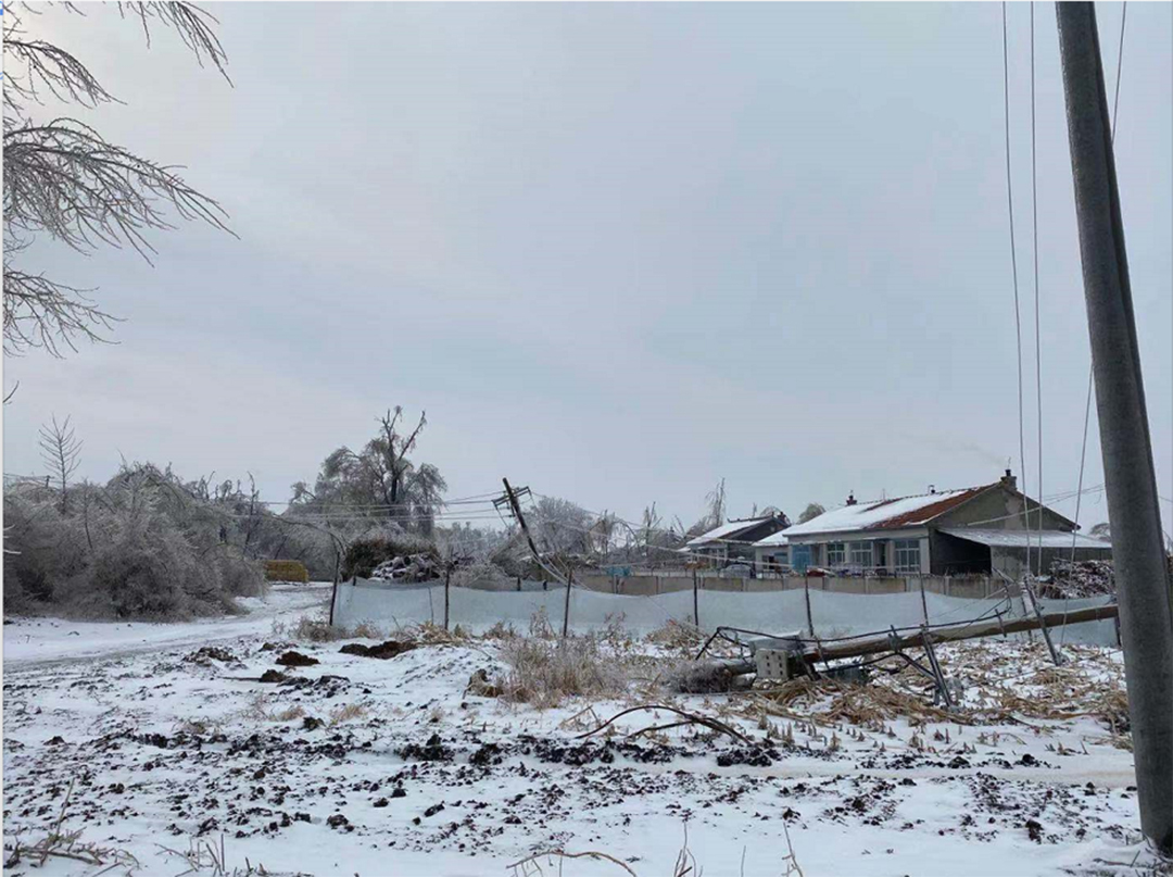 1607910895509453.jpg 1.jpg