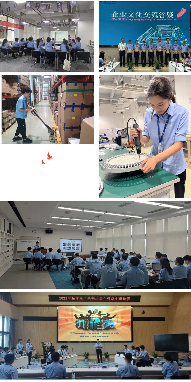 1697159392267227.png 1697159392267227.png